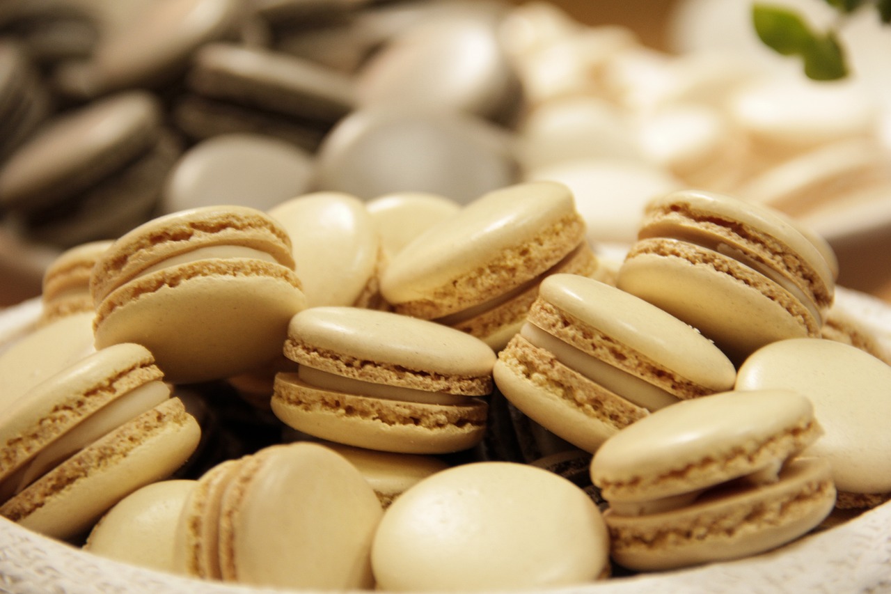 biscoito, rocon, eventos